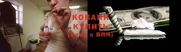 сатива Кирсанов