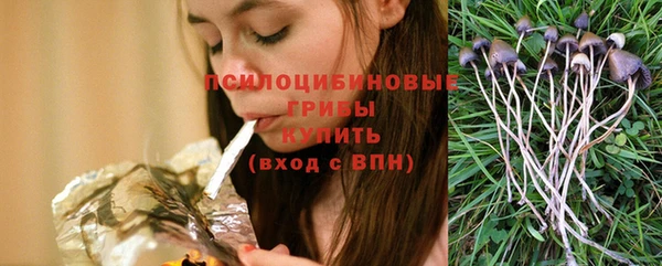молекула духа Богородск