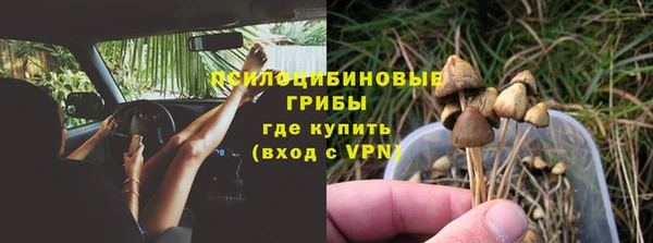 молекула духа Богородск